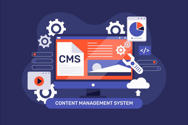 Custom Software & SaaS Products